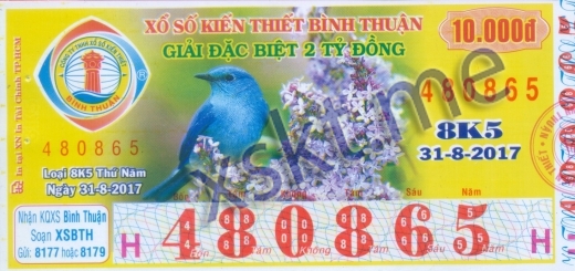 Mẫu vé sô xổ số Bình Thuận ngày 31/8/2017