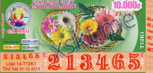 Mẫu vé sô xổ số Cà Mau ngày 1/12/2014