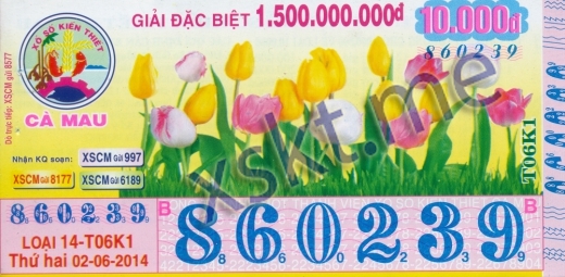 Mẫu vé sô xổ số Cà Mau ngày 2/6/2014