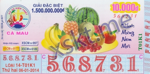 Mẫu vé sô xổ số Cà Mau ngày 6/1/2014