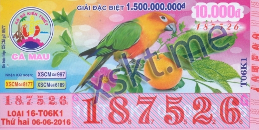 Mẫu vé sô xổ số Cà Mau ngày 6/6/2016