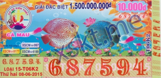 Mẫu vé sô xổ số Cà Mau ngày 8/6/2015