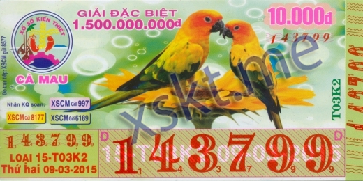 Mẫu vé sô xổ số Cà Mau ngày 9/3/2015
