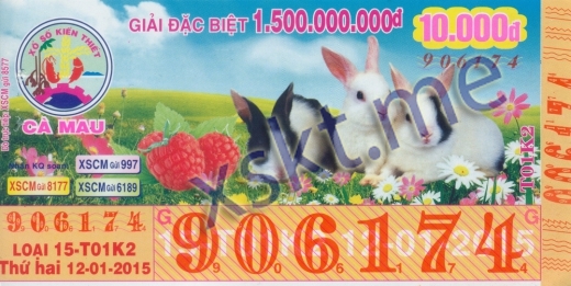 Mẫu vé sô xổ số Cà Mau ngày 12/1/2015