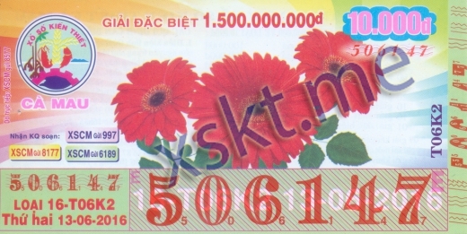 Mẫu vé sô xổ số Cà Mau ngày 13/6/2016
