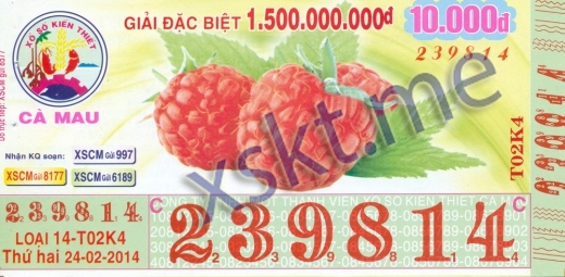 Mẫu vé sô xổ số Cà Mau ngày 24/2/2014