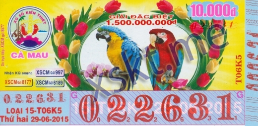 Mẫu vé sô xổ số Cà Mau ngày 29/6/2015