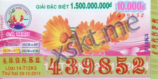 Mẫu vé sô xổ số Cà Mau ngày 29/12/2014