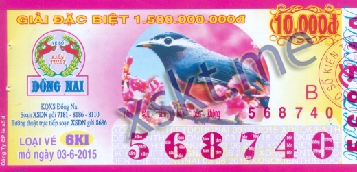 Mẫu vé sô xổ số Đồng Nai ngày 3/6/2015