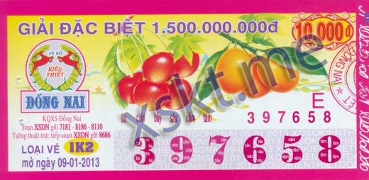 Mẫu vé sô xổ số Đồng Nai ngày 9/1/2013