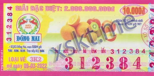 Mẫu vé sô xổ số Đồng Nai ngày 9/3/2022