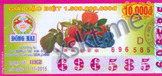 Mẫu vé sô xổ số Đồng Nai ngày 11/11/2015