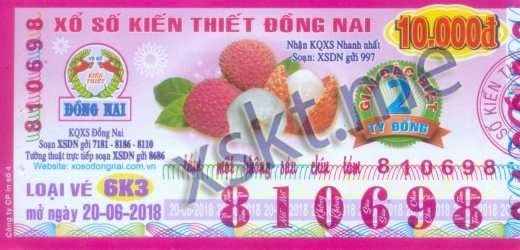 Mẫu vé sô xổ số Đồng Nai ngày 20/6/2018