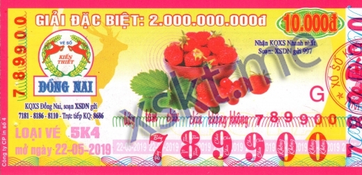 Mẫu vé sô xổ số Đồng Nai ngày 22/5/2019