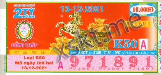 Mẫu vé sô xổ số Đồng Tháp ngày 13/12/2021
