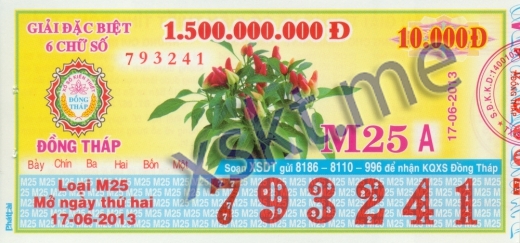 Mẫu vé sô xổ số Đồng Tháp ngày 17/6/2013