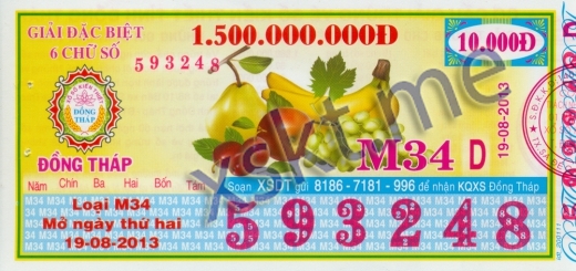 Mẫu vé sô xổ số Đồng Tháp ngày 19/8/2013
