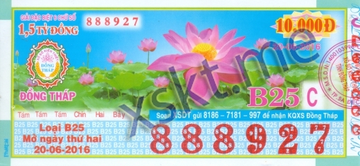 Mẫu vé sô xổ số Đồng Tháp ngày 20/6/2016