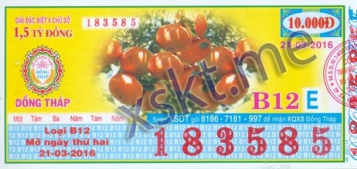 Mẫu vé sô xổ số Đồng Tháp ngày 21/3/2016
