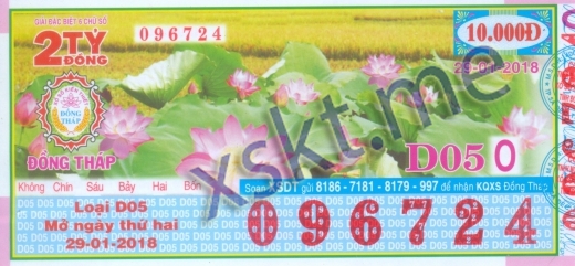 Mẫu vé sô xổ số Đồng Tháp ngày 29/1/2018