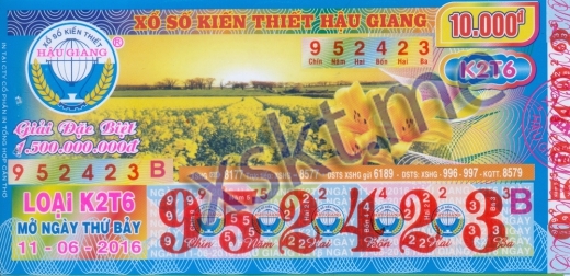 Mẫu vé sô xổ số Hậu Giang ngày 11/6/2016
