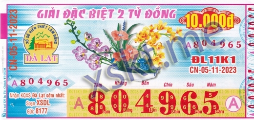 Mẫu vé sô xổ số Đà Lạt ngày 5/11/2023